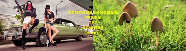 дмт Алексеевка