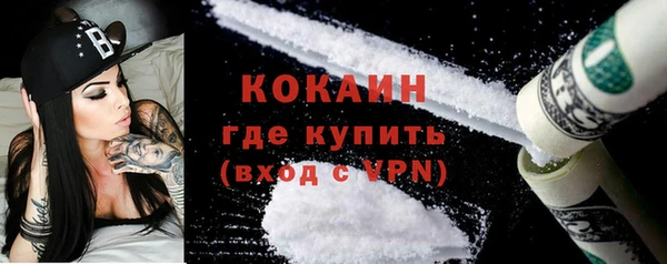 твердый Алзамай