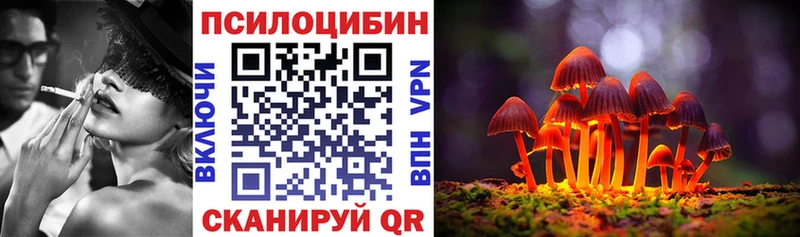 где найти наркотики  Пойковский  Псилоцибиновые грибы Cubensis 